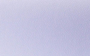 Constellation Snow_E48Intreccio