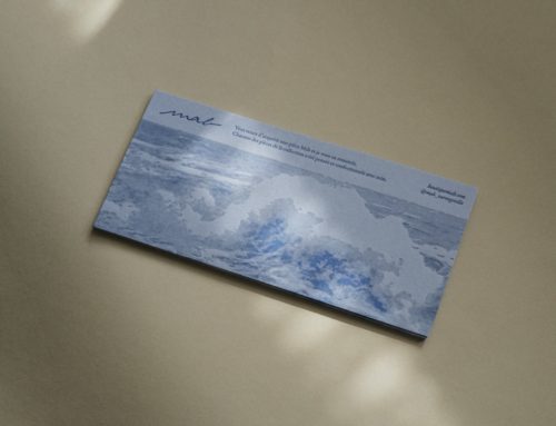 Carton de certificat oeuvre d&rsquo;art – Impression letterpress demi tons en creux Pantone 294U – Gmund Color Matt 44